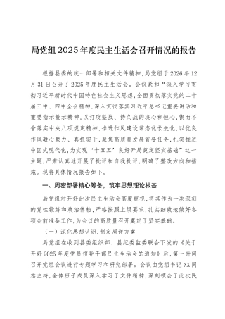 会议情况-2025年度民主生活会召开情况总结报告（范文2篇）.doc