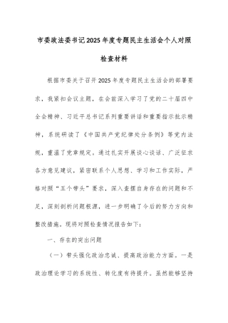 市委政法委书记2025年度专题民主生活会个人对照检查材料.docx