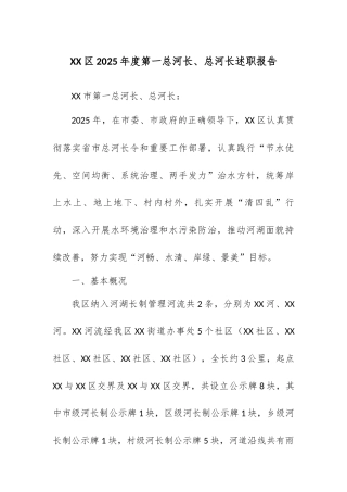 XX区2025年度第一总河长、总河长述职报告.docx