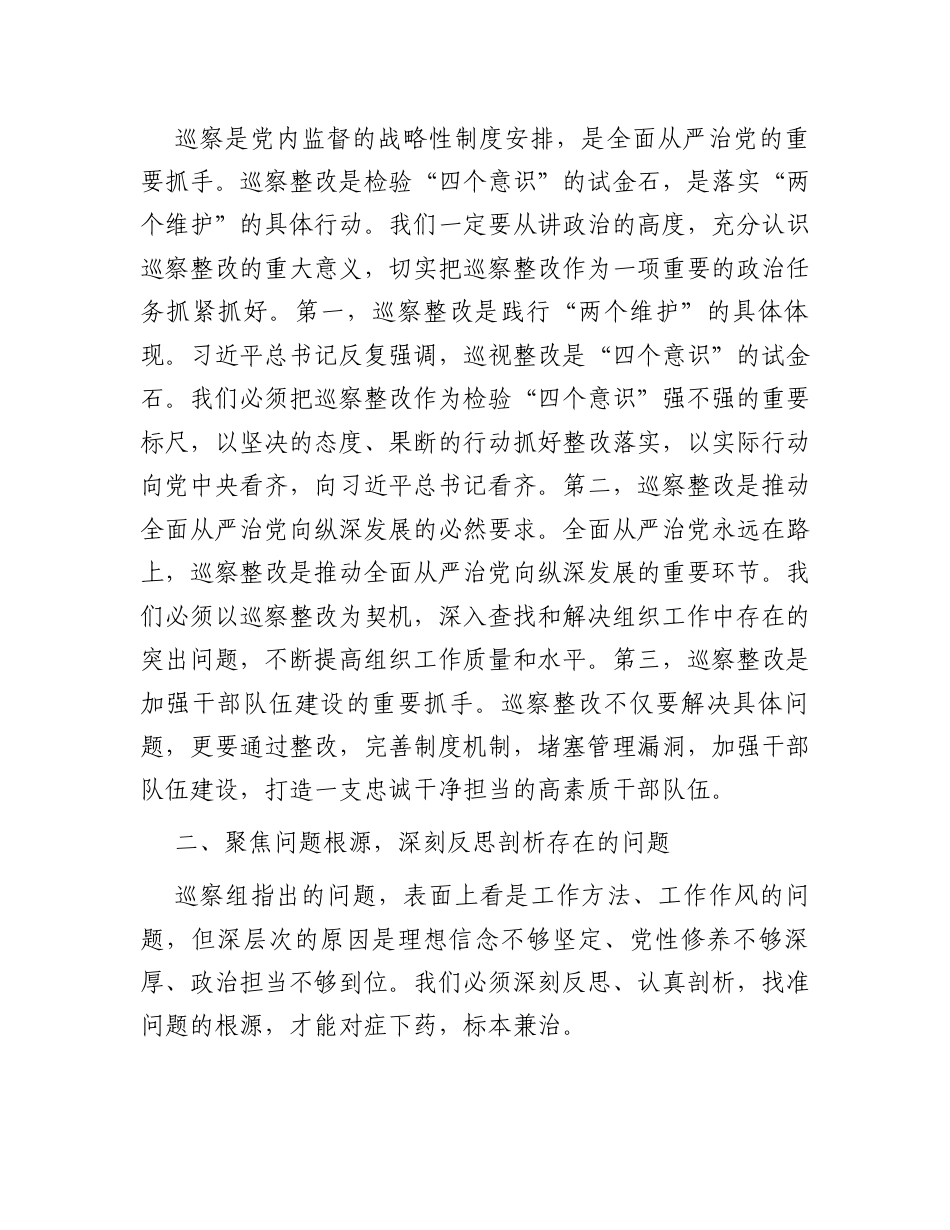 在巡察整改专题民主生活会上的讲话.docx_第2页
