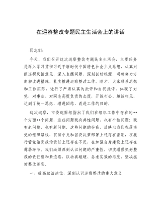 在巡察整改专题民主生活会上的讲话.docx