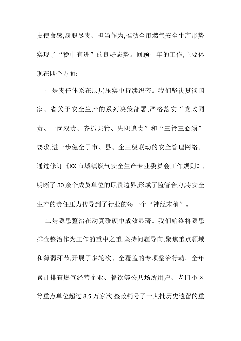 在XX市城镇燃气安全生产专业委员会2026年第一次全体会议上的讲话.docx_第2页