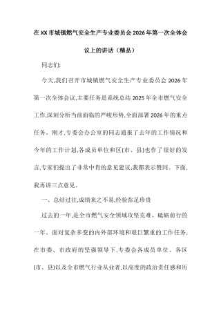 在XX市城镇燃气安全生产专业委员会2026年第一次全体会议上的讲话.docx