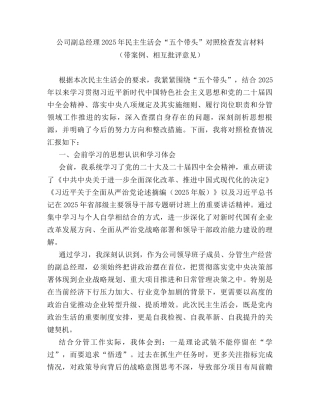 公司副总经理2025年民主生活会“五个带头”对照检查发言材料（带案例、相互批评意见）.docx