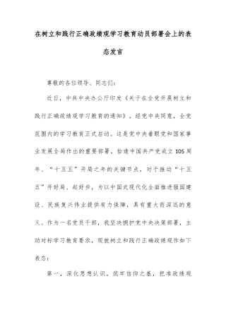 在树立和践行正确政绩观学习教育动员部署会上的表态发言.docx