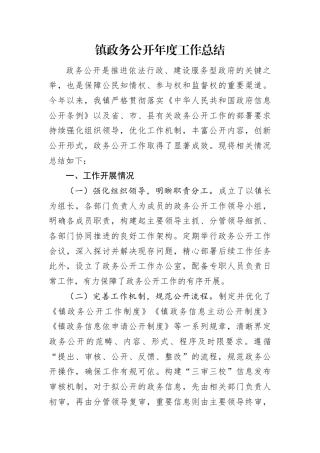 镇政务公开年度工作总结.docx