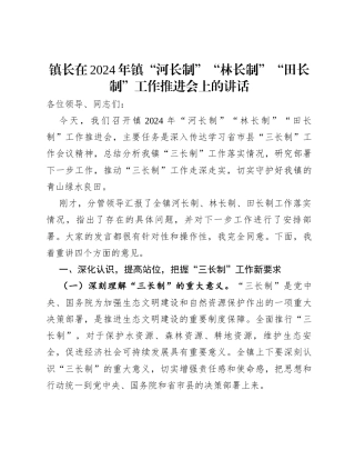 镇长在2024年镇“河长制”“林长制”“田长制”工作推进会上的讲话.docx