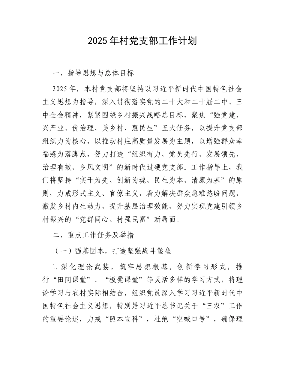 2025年村党支部工作计划.docx_第1页