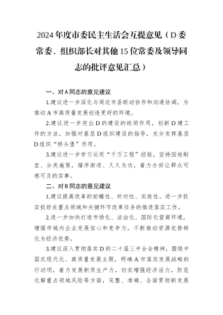 2024年度市委民主生活会互提意见.docx