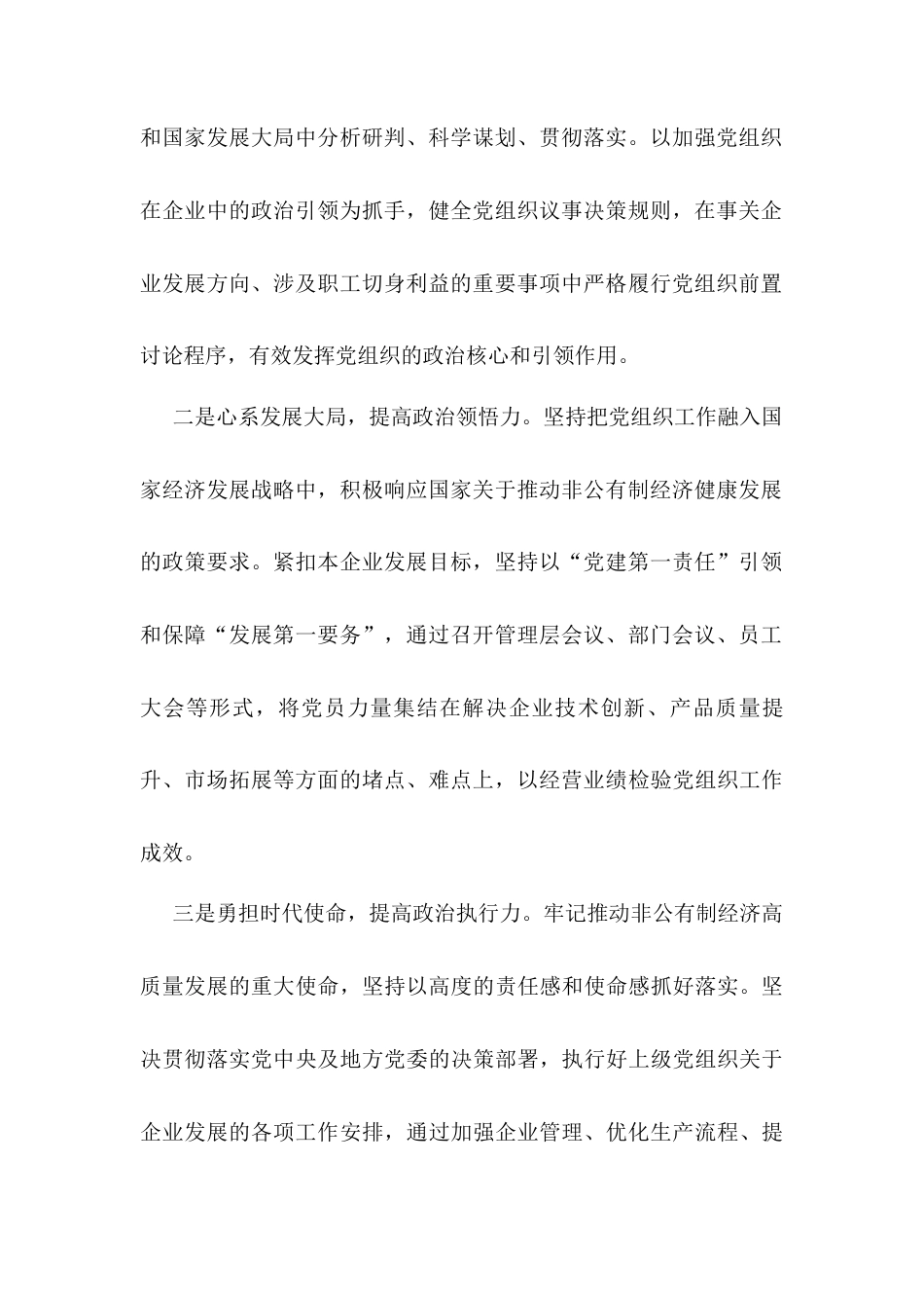 两新领域非公有制经济党组织书记抓党建述职报告.docx_第2页