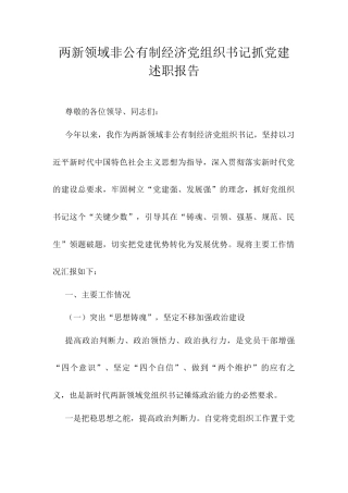 两新领域非公有制经济党组织书记抓党建述职报告.docx