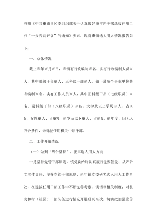 某镇选人用人“一报告两评议”专题报告.docx