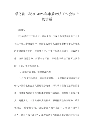 常务副书记在2025年市委政法工作会议上的讲话.docx