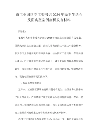 市工业园区党工委书记2024年民主生活会反面典型案例剖析发言材料.docx