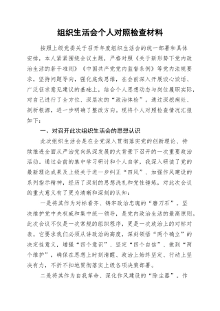 2025年度组织生活会个人对照检查材料（全文6569字）.docx