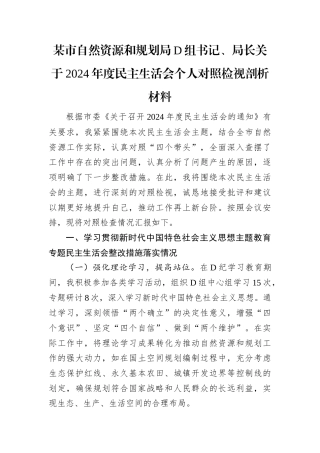 某市自然资源和规划局D组书记.docx