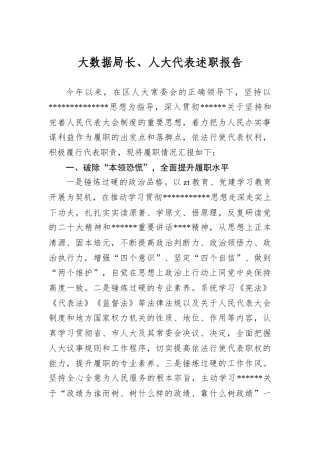 大数据局长、人大代表述职报告.docx
