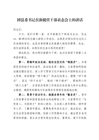 团县委书记在新提任干部表态会上的讲话（753字）.docx