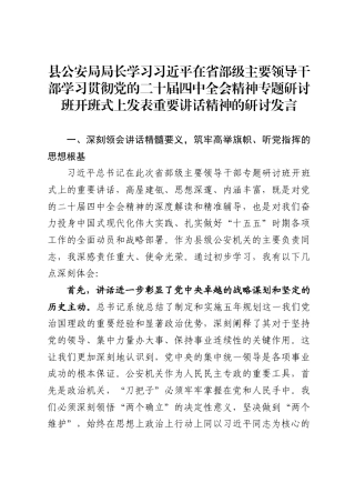 县公安局局长学习习近平在省部级主要领导干部学习贯彻党的二十届四中全会精神专题研讨班开班式上发表重要讲话精神的研讨发言（3322字）.docx