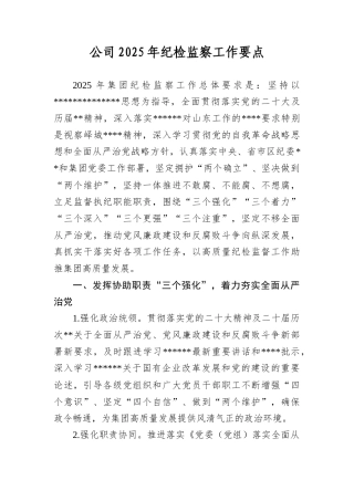 公司2025年纪检监察工作要点.docx