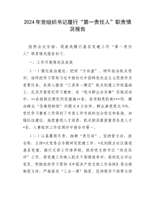 2024年党组织书记履行“第一责任人”职责情况报告.docx