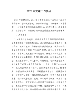 2025年党建工作要点.docx