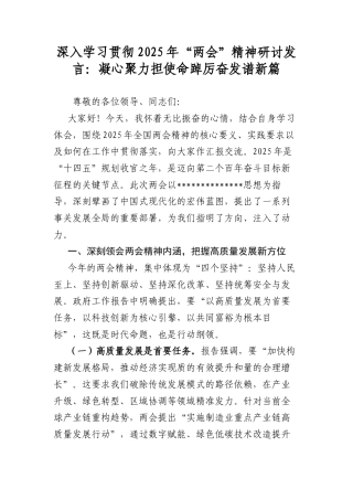 深入学习贯彻2025年“两会”精神研讨发言：凝心聚力担使命踔厉奋发谱新篇.docx