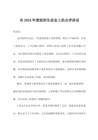 在2024年度组织生活会上的点评讲话.docx