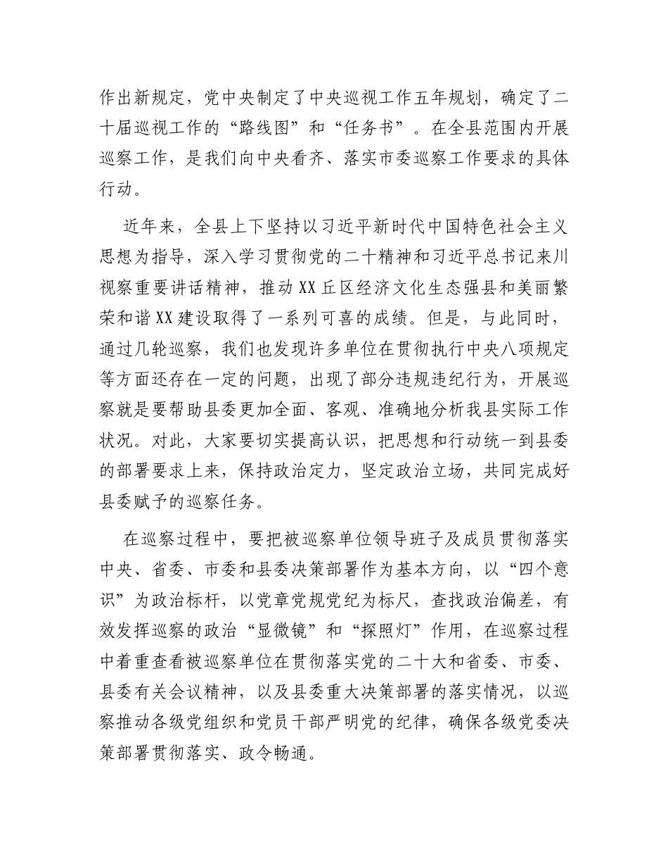 在乡村振兴领域专项巡察工作汇报会上的讲话.docx_第2页