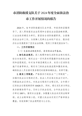 市消防救援支队关于2024年度全面依法治市工作开展情况的报告.docx