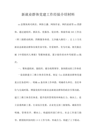 新就业群体党建工作经验介绍材料.docx