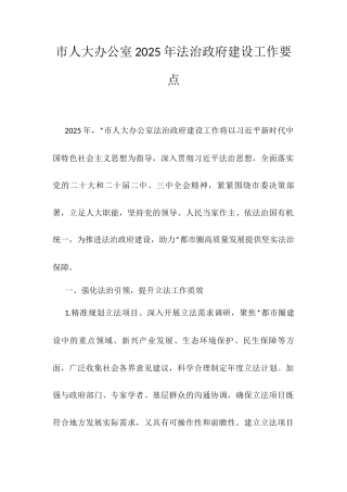 市人大办公室2025年法治政府建设工作要点.docx