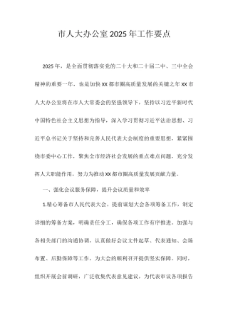 市人大办公室2025年工作要点.docx