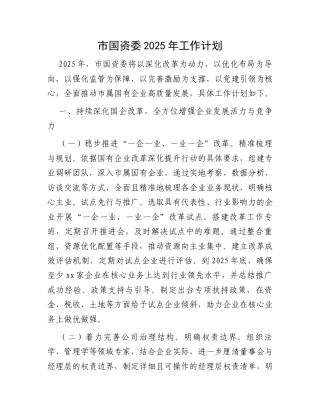市国资委2025年工作计划.docx