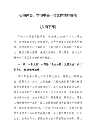 心得体会：学习2025年中央一号文件精神感悟（乡镇干部）.docx