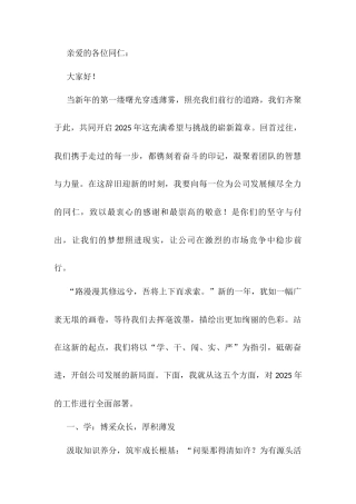 主要领导在2025新年工作部署大会上的讲话docx.docx