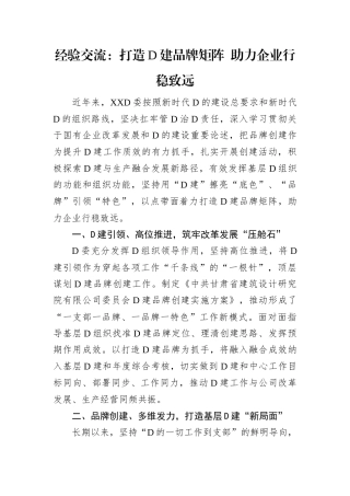 经验交流：打造D建品牌矩阵 助力企业行稳致远.docx