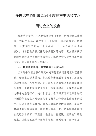 在理论中心组暨2024年度民主生活会学习研讨会上的发言.docx