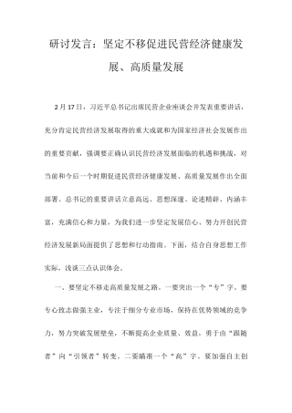 研讨发言：坚定不移促进民营经济健康发展、高质量发展docx.docx