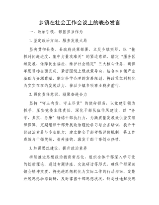 乡镇在社会工作会议上的表态发言.docx