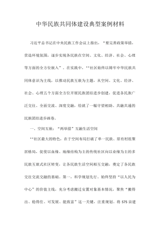 中华民族共同体建设典型案例材料.docx
