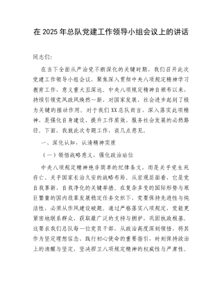 在2025年总队党建工作领导小组会议上的讲话.docx