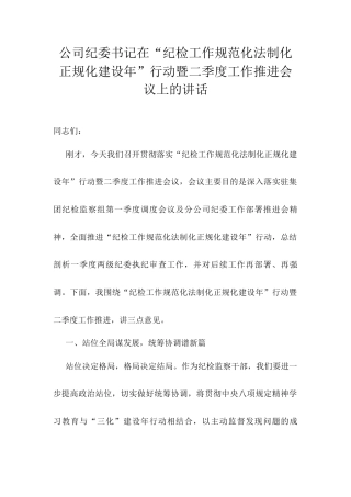 公司纪委书记在“纪检工作规范化法制化正规化建设年”行动暨二季度工作推进会议上的讲话.docx