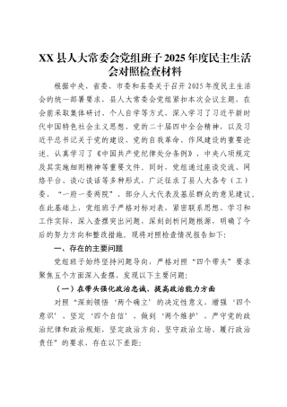 XX县人大常委会党组班子2025年度民主生活会对照检查材料（6353字）.docx