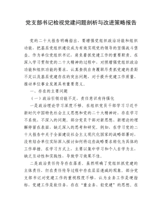 党支部书记检视党建问题剖析与改进策略报告.docx