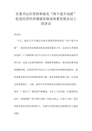 市委书记在坚持和落实“两个毫不动摇” 促进民营经济健康发展高质量发展会议上的讲话.docx