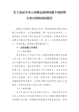 违反中央八项规定精神问题专项治理自查自纠情况报告.docx