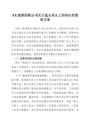 集团有限公司关于选人用人工作的自查整改方案.docx