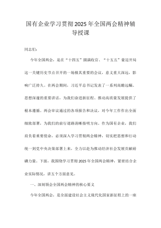 国有企业学习贯彻2025年全国两会精神辅导授课.docx