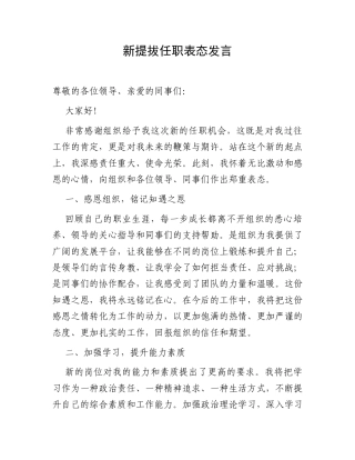 新提拔任职表态发言.docx